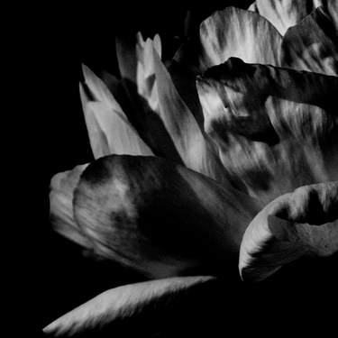 Louise Roam - Là où passe la nuit