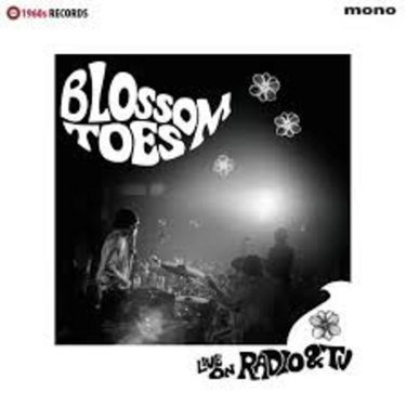 Blossom Toes - 'Live on Radio & TV'