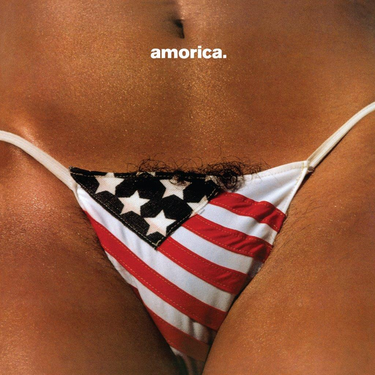 The Black Crowes - Amorica