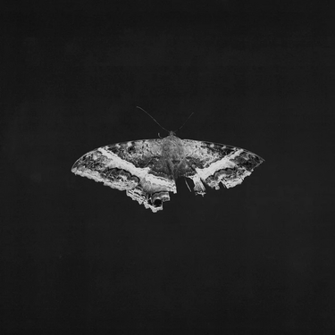 Kendrick Lamar - To Pimp a Butterfly 10th Anniversary