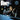 BONES - Screwed. Blued Ant Tattoed