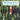 Dionysos - Happening Songs