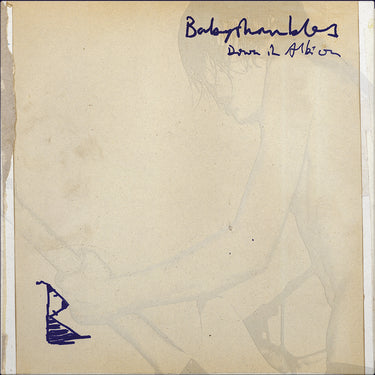 Babyshambles - Down in Albion (20th Anniversary Edition)