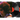 2LP