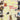 Various Artists - Pets Sounds