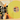 Translucent Yellow Vinyl with insert