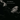 SINSUKE FUJIEDA GROUP - Informel