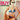 CONTORTIONS - BUY