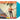 Limited Turquoise Colour Vinyl