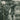 JEFF PARKER - SUITE FOR MAX BROWN