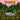 YokoO - The Rise