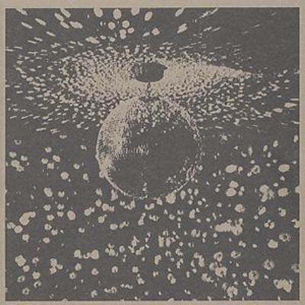 NEIL YOUNG: NEIL YOUNG - MIRROR BALL – Record Plant