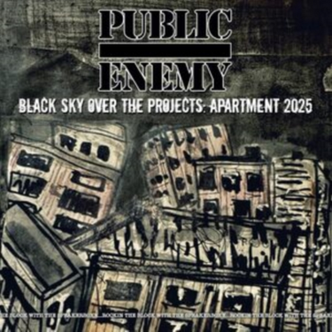 BLACK SKY OVER THE PROJECTS