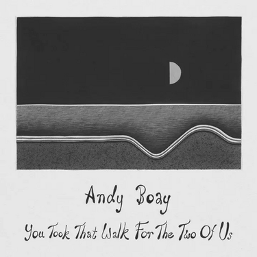 Andy Boay - You Took That Walk For The Two Of Us
