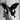 DEATH CULT - PARADISE NOW