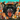Fantastic Cat - Cat Out Of Hell