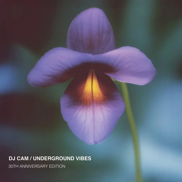DJ Cam – Underground Vibes (30th Anniversary) (2025)