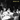 BRIDGE DOG - Auto Fictions