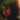 Kelsey Lu - Church (EP) (10th Anniversary Reissue)