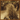Cassandra Wilson - Belly Of The Sun