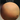 Egg - The Civil Service